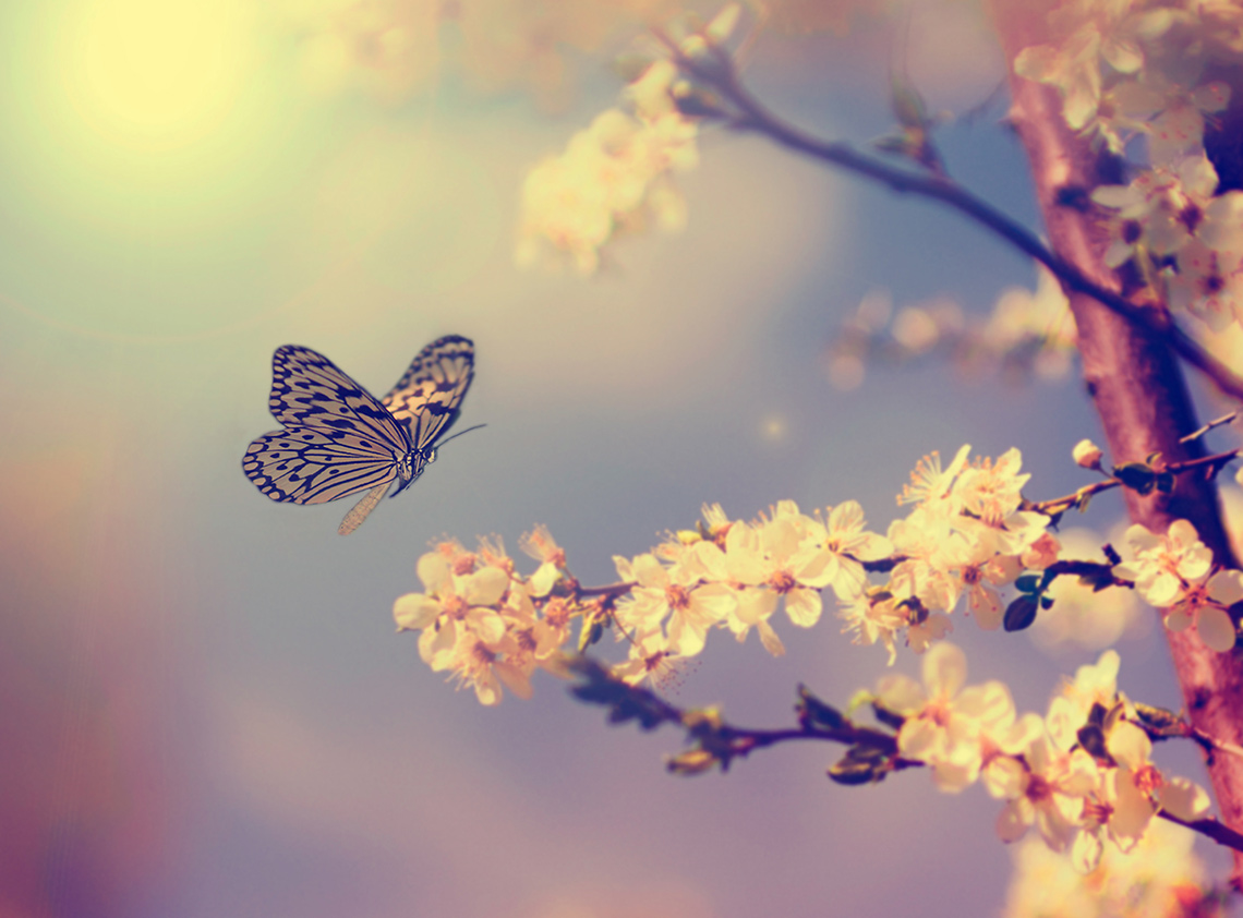 portfolio_featured_image4