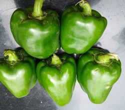 Local Vegetables