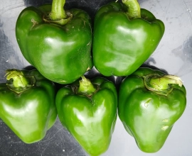 Local Vegetables